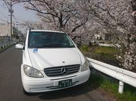 転院・通院時の車窓からのお花見