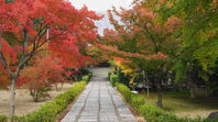 中区の国清寺の紅葉