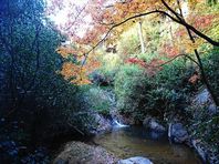 倉敷市児島の病院に移送