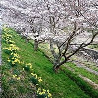 ３月２５日　新見への運行