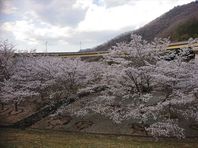 ３月２５日　新見への運行