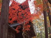 ２０２１年秋　曹源寺（岡山市中区円山）の紅葉