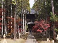 ２０２１年秋　曹源寺（岡山市中区円山）の紅葉