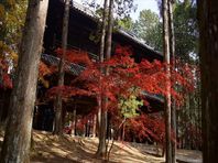 ２０２１年秋　曹源寺（岡山市中区円山）の紅葉