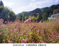 ４月１１日　芳野病院（鏡野町）運行