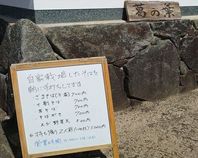 津山市への運行