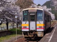 ４月１日　桜紀行その３