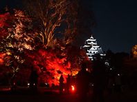 １１月２６日　後楽園秋の幻想庭園